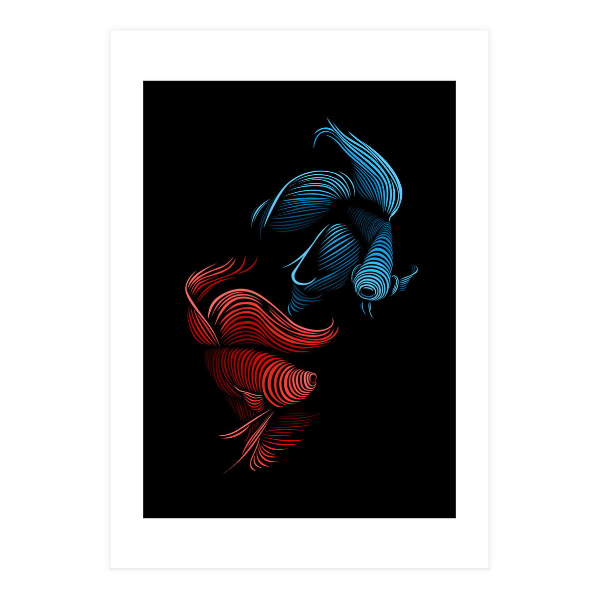 bettas fight (Print Only)