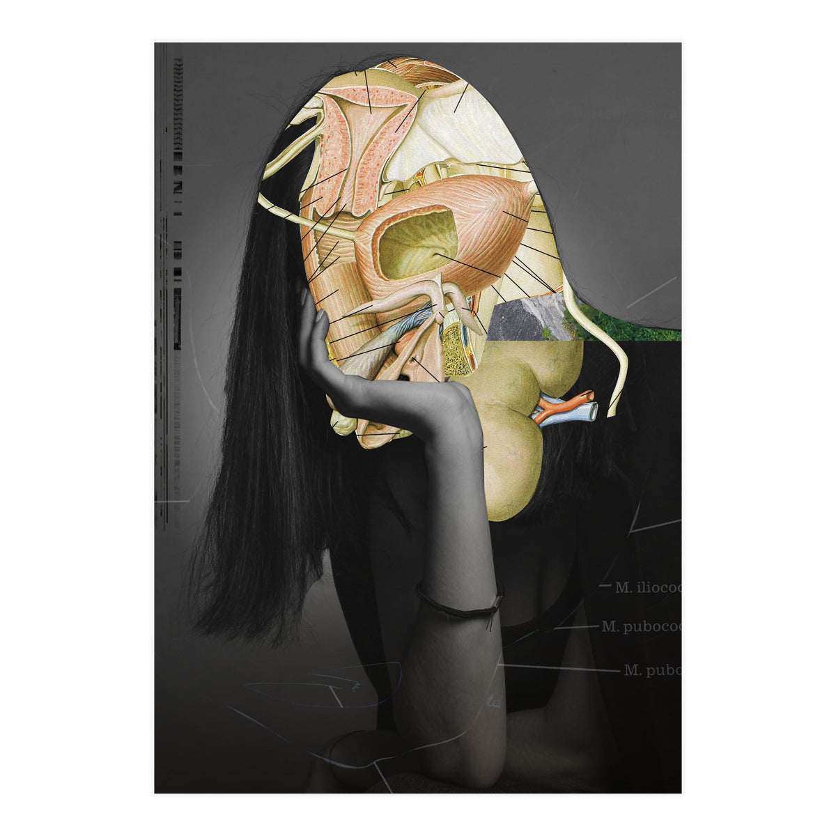 Crazy Woman 206 (Print Only)