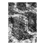 Sampa II (Print Only) thumbnail