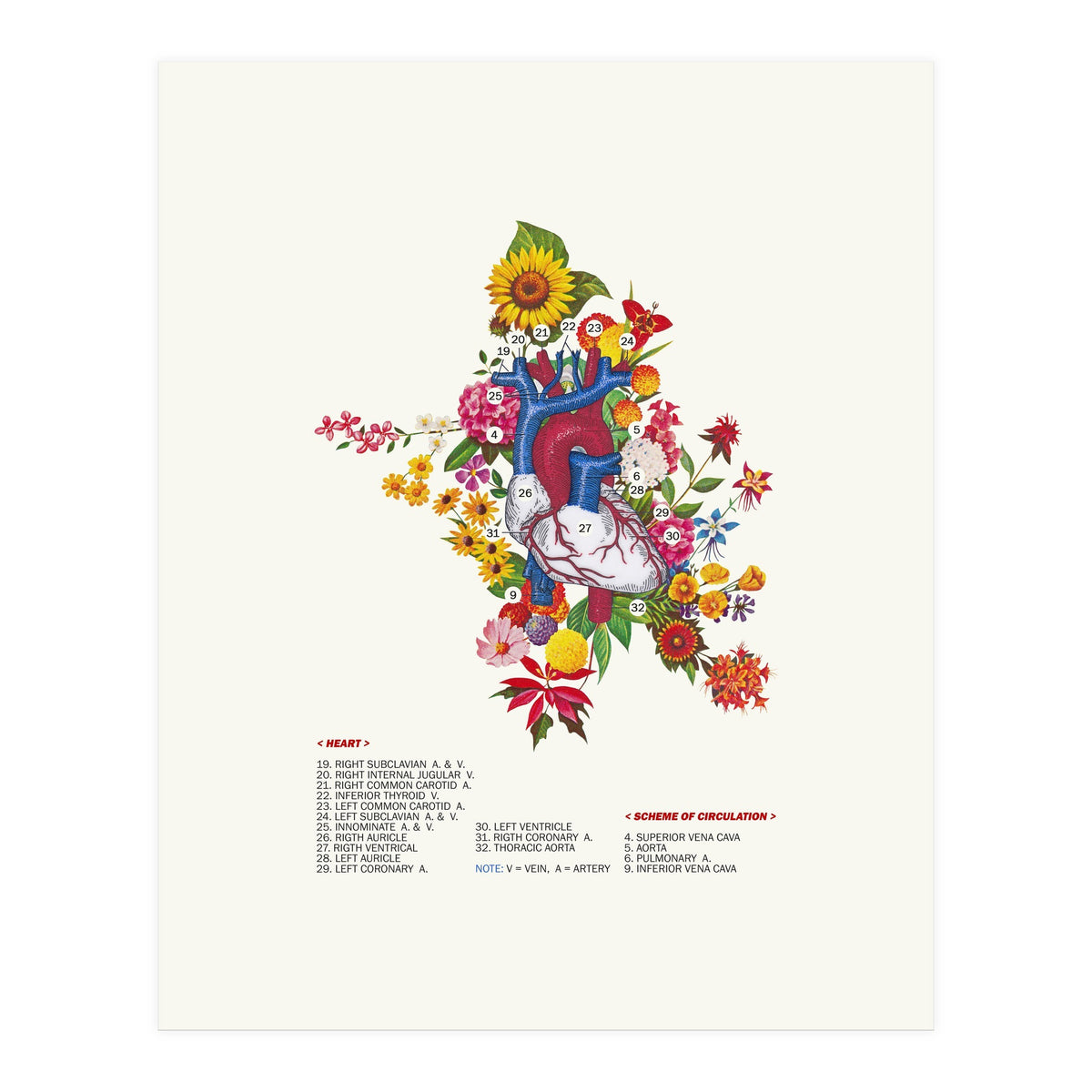 Blooming Heart (Print Only)