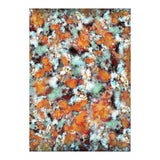 Little Falling Embers (Print Only) thumbnail