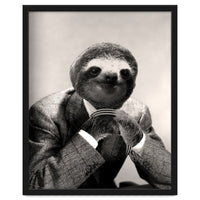 Gentleman Sloth 3