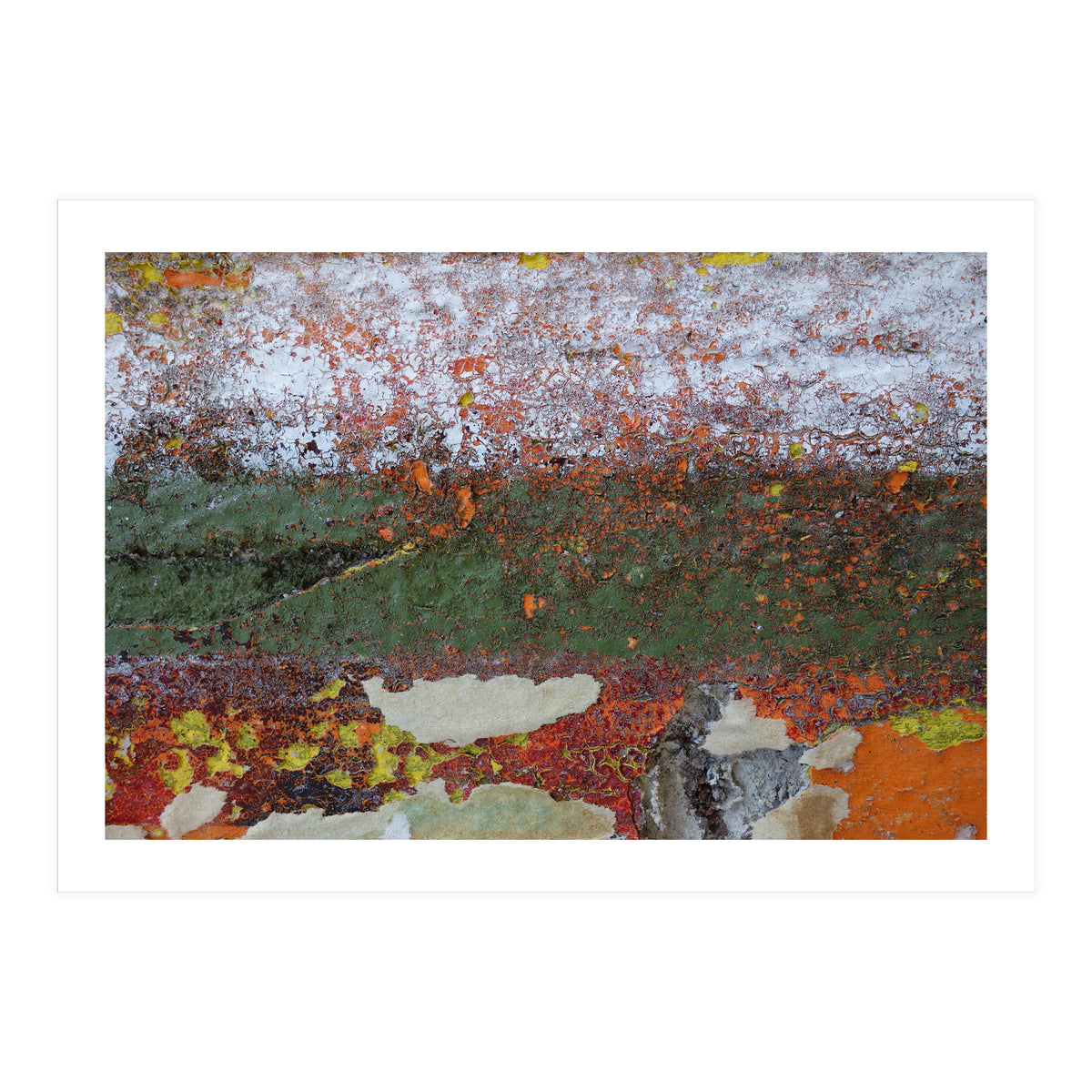 North South (Print Only)