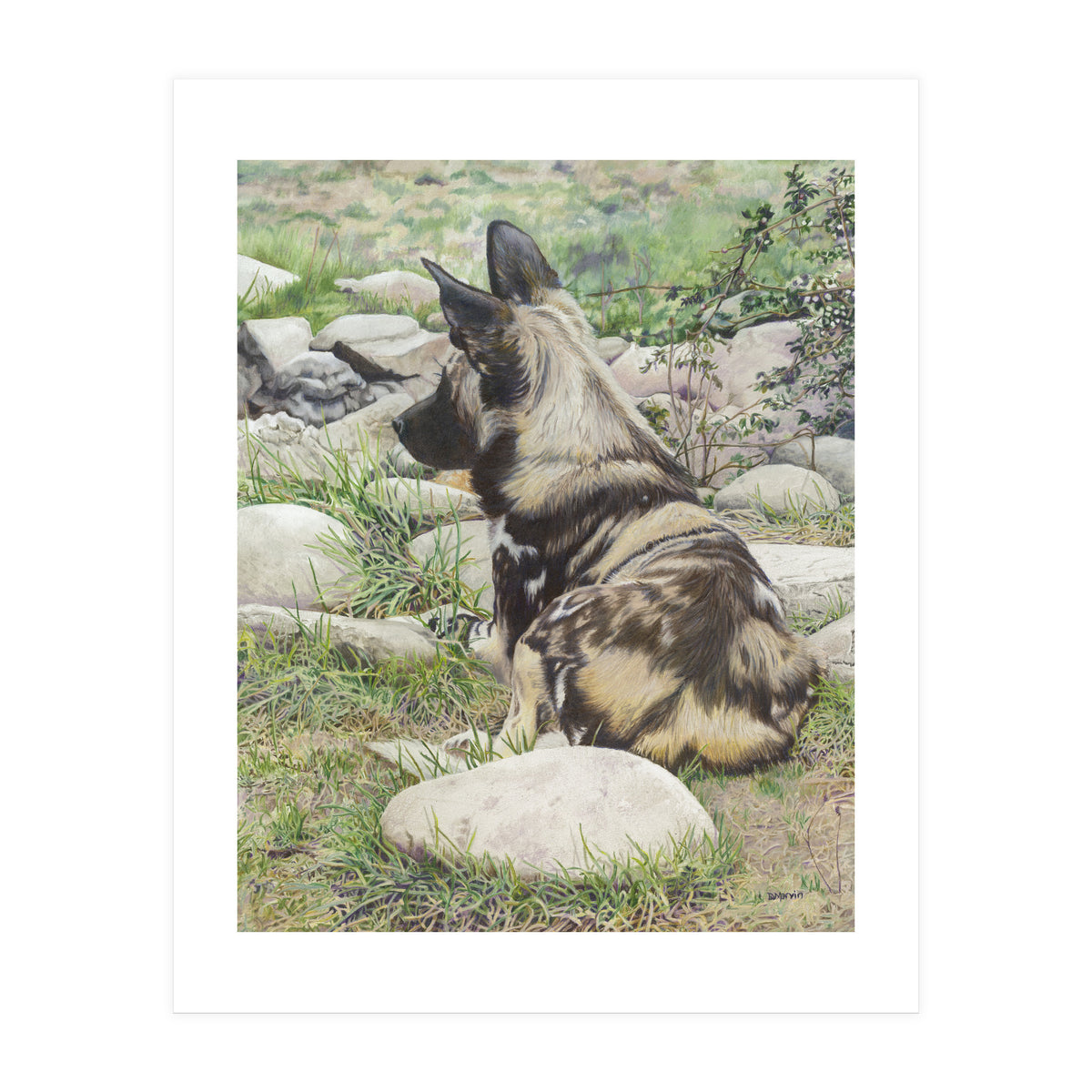 African Painted Dog I (Print Only)