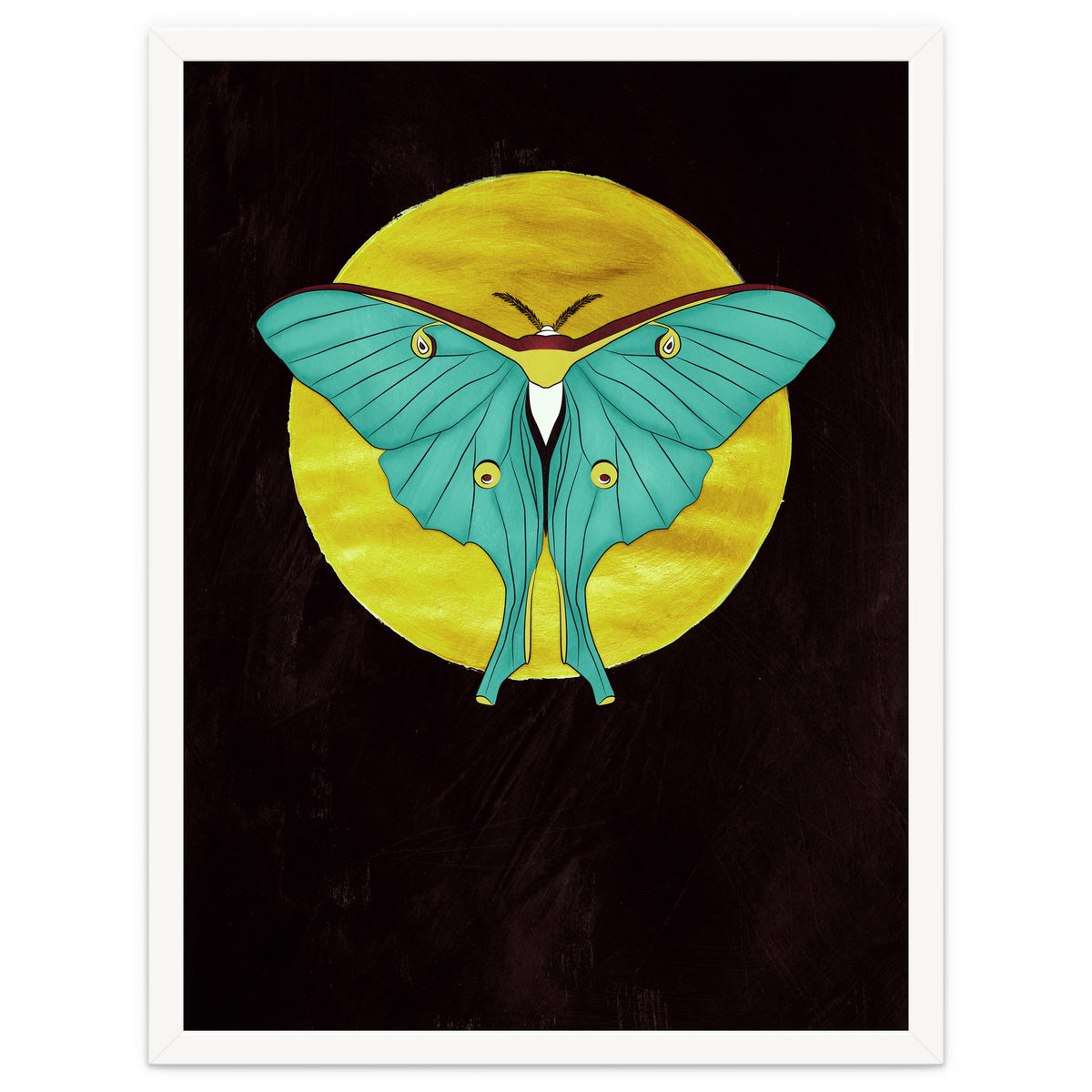 Luna Moth Moon
