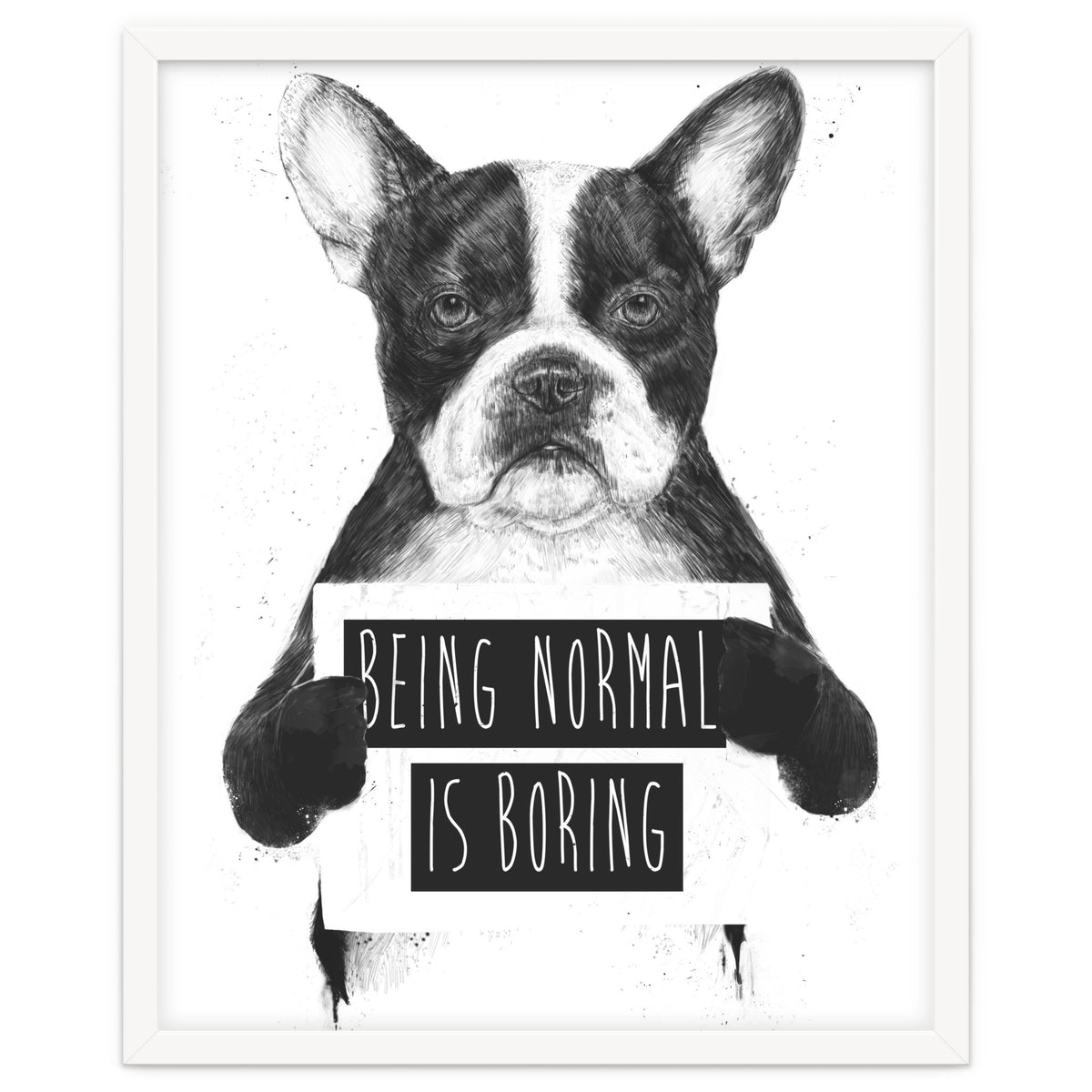 Being Normal Is Boring
