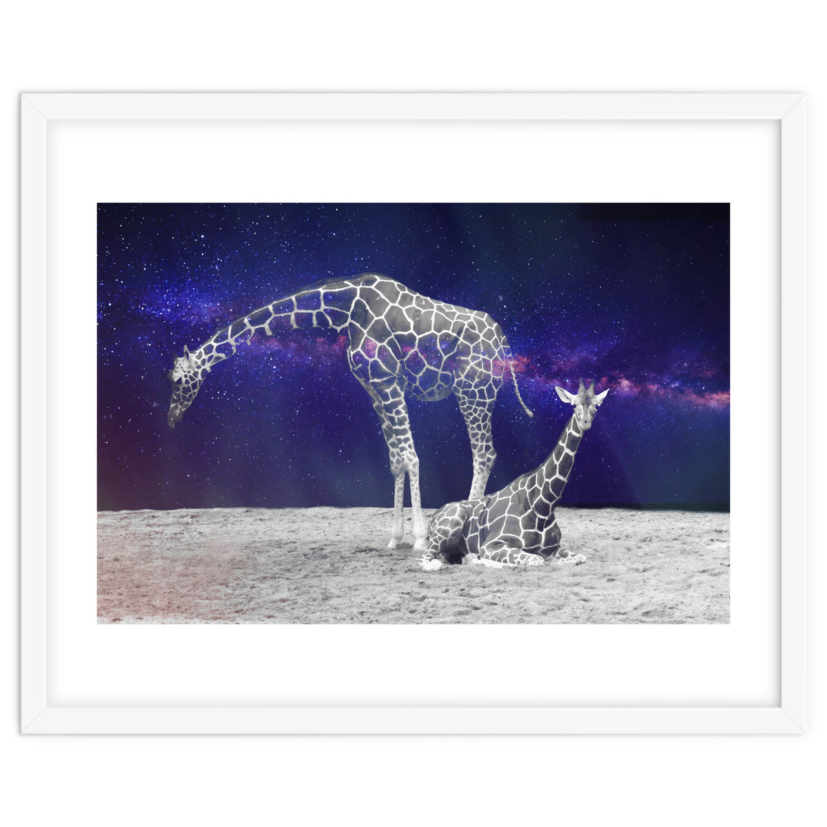 Giraffes on The Moon