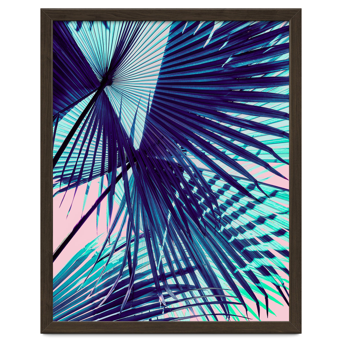 Palm leaf on the beach