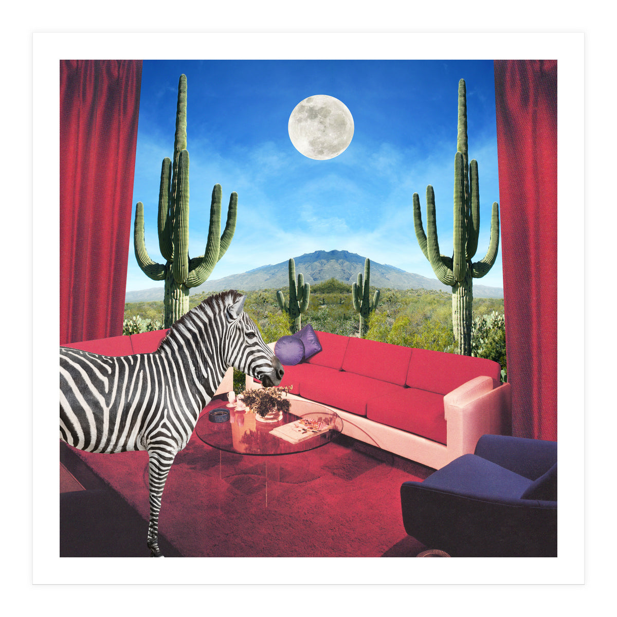 Saguaro Stripes (Print Only)