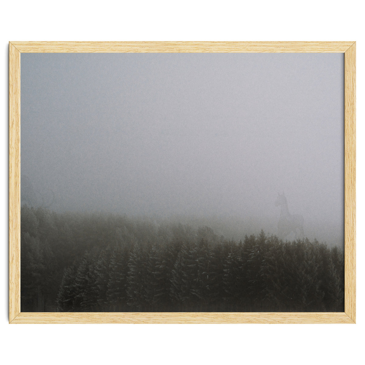 What the Hell did I just See?