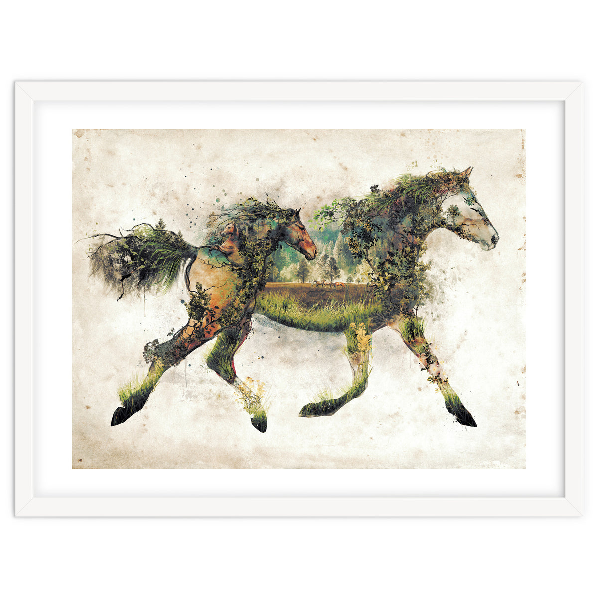 The Horse Surrealism