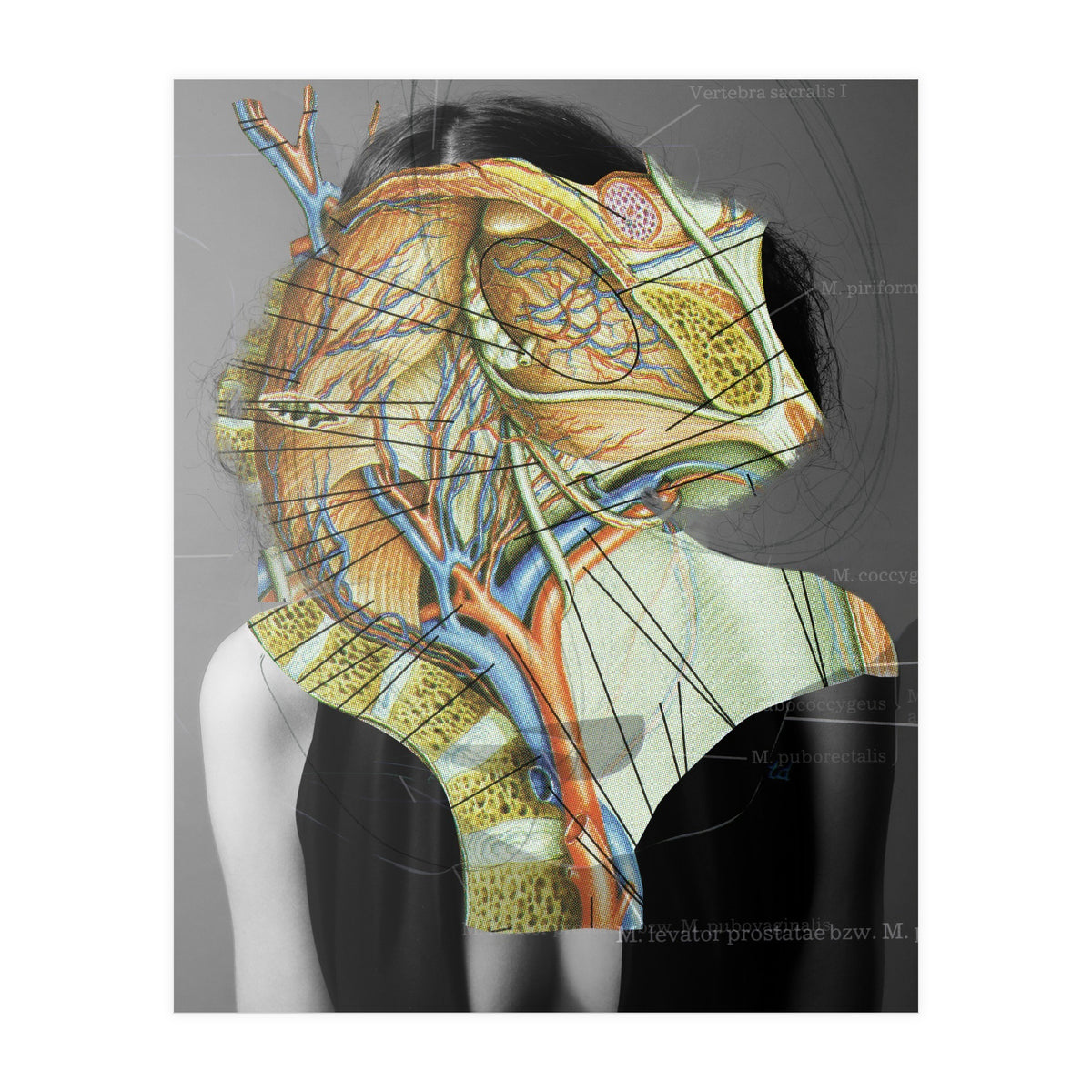 Crazy Woman 210 (Print Only)