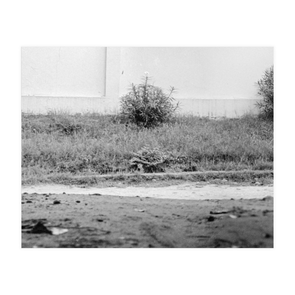 Dar Es Salam, Tanzania (Print Only)