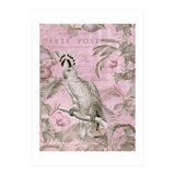 Jungle Cockatoo Pink (Print Only) thumbnail