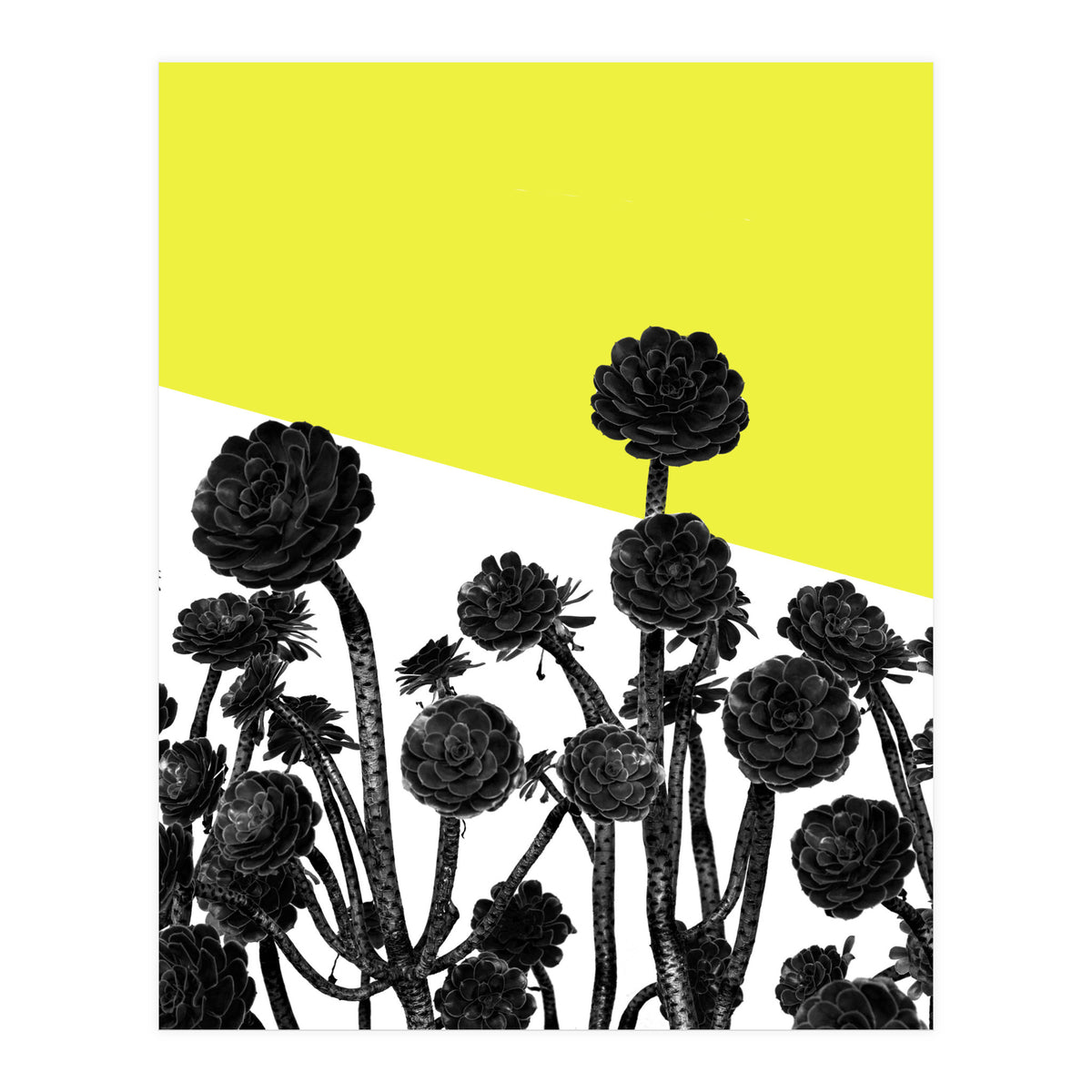 Flowers yellow (Print Only)