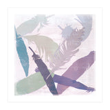 Feathers (Print Only) thumbnail
