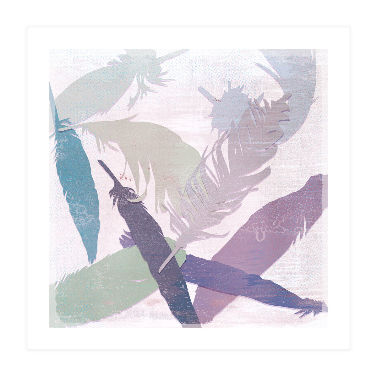 Feathers (Print Only)