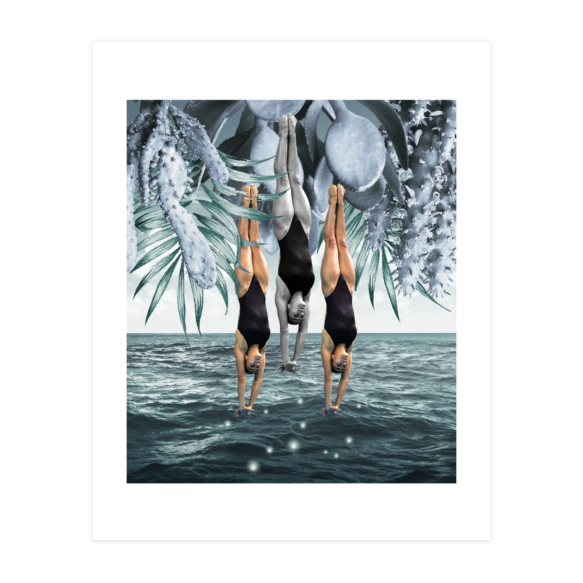 Dive Into (Print Only)