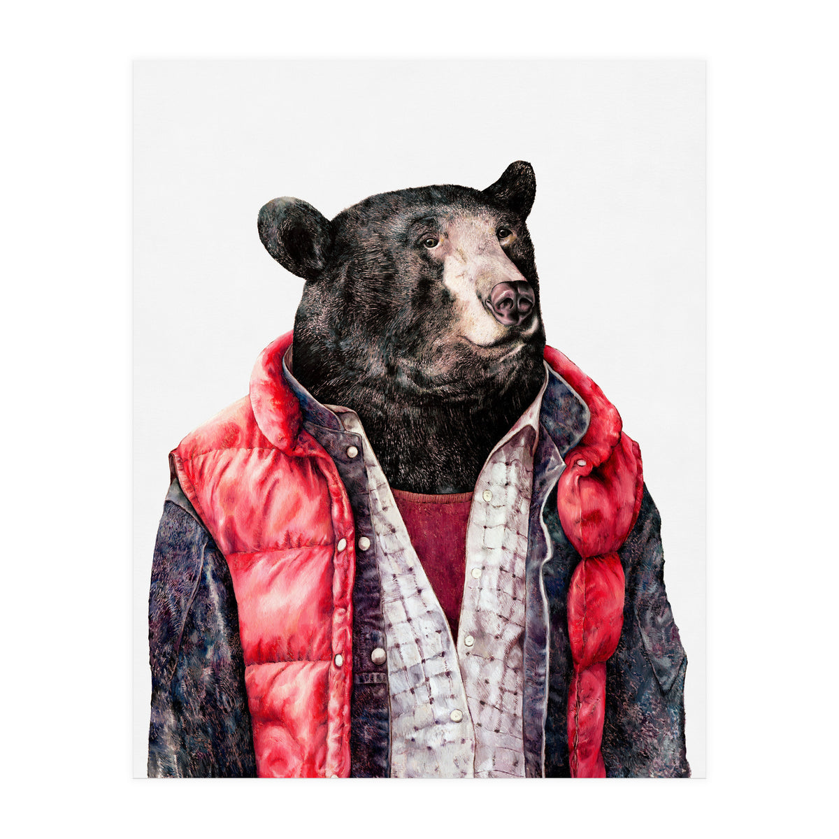 Black Bear (Print Only)