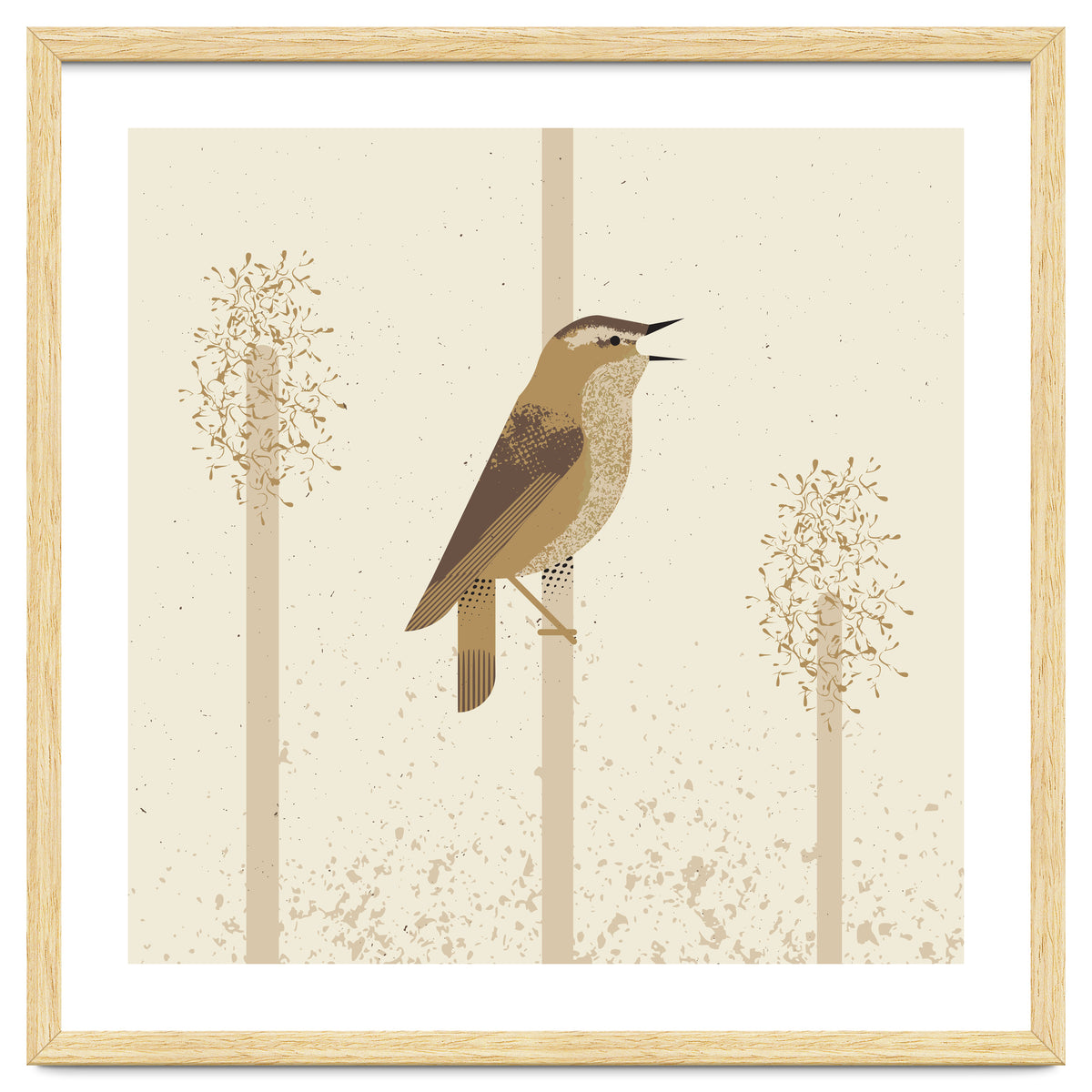 Sedge Warbler