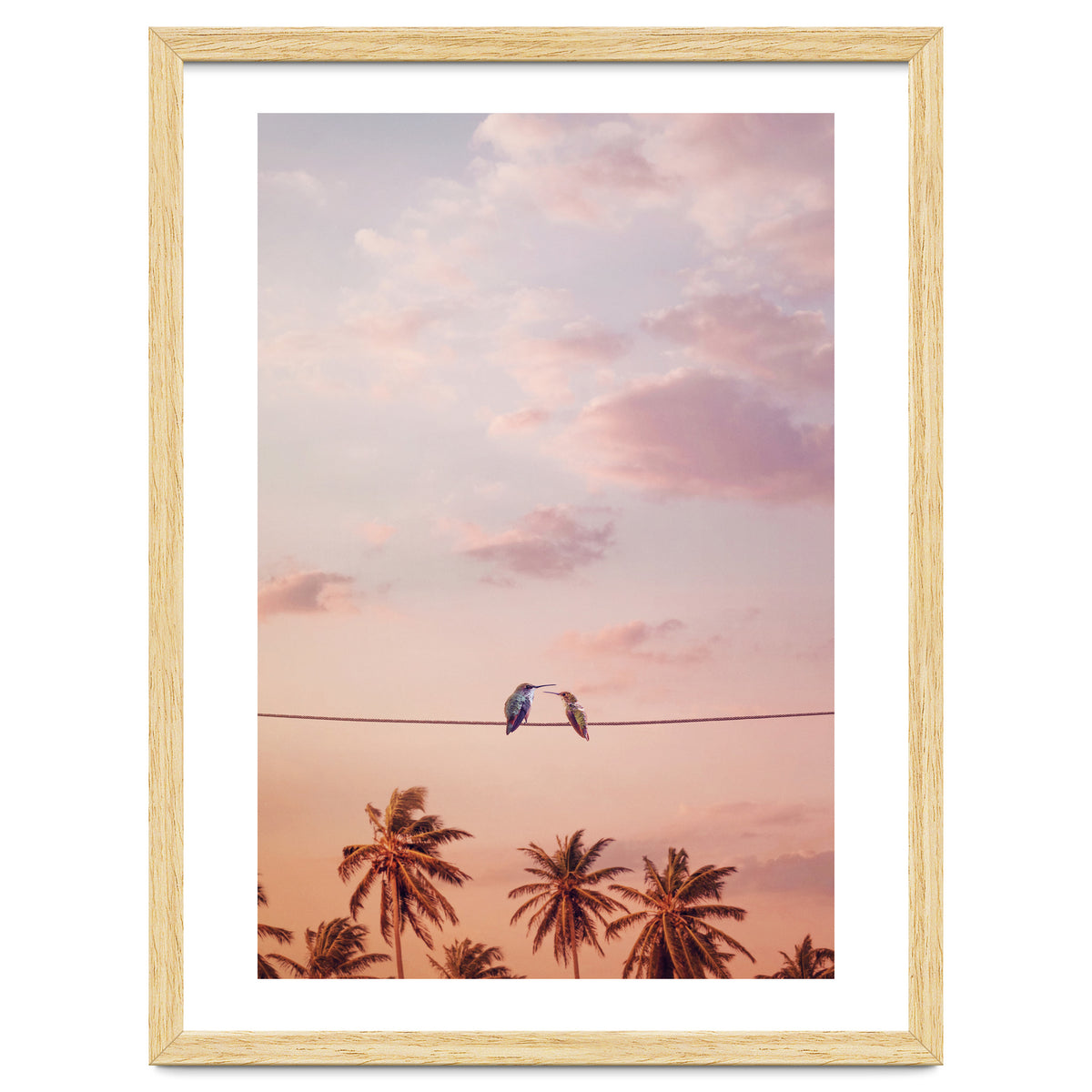 Hummingbirds In Love