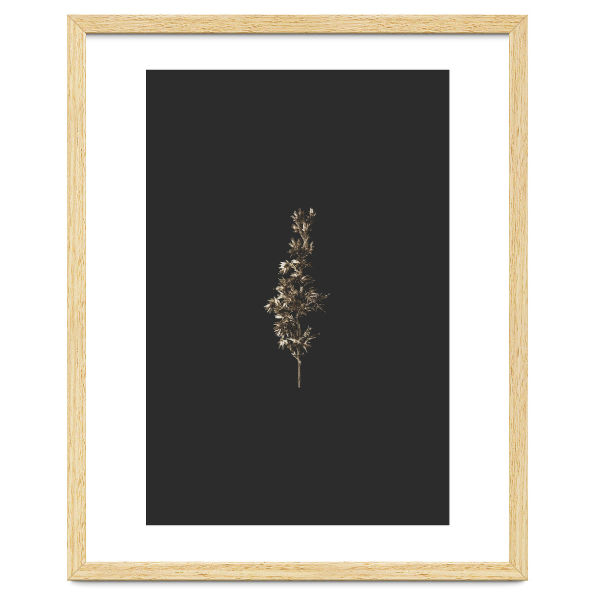 Gold Rush Botanicals