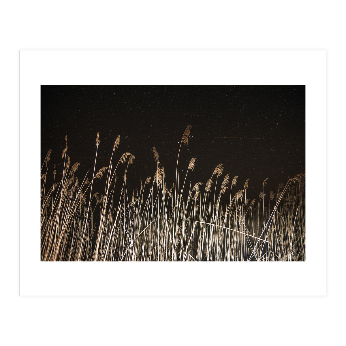 The Shining (Print Only)