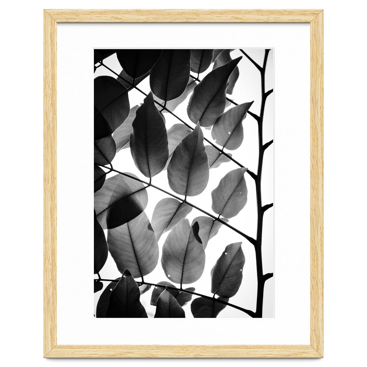 Branches and Leaves II