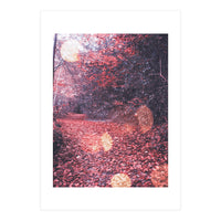 Autumn Flares (Print Only)