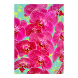 Finding My Way Back To Myself, Botanical Nature Plants Floral, Flowers Garden Colorful Boho Painting Summer Blossom (Print Only) thumbnail