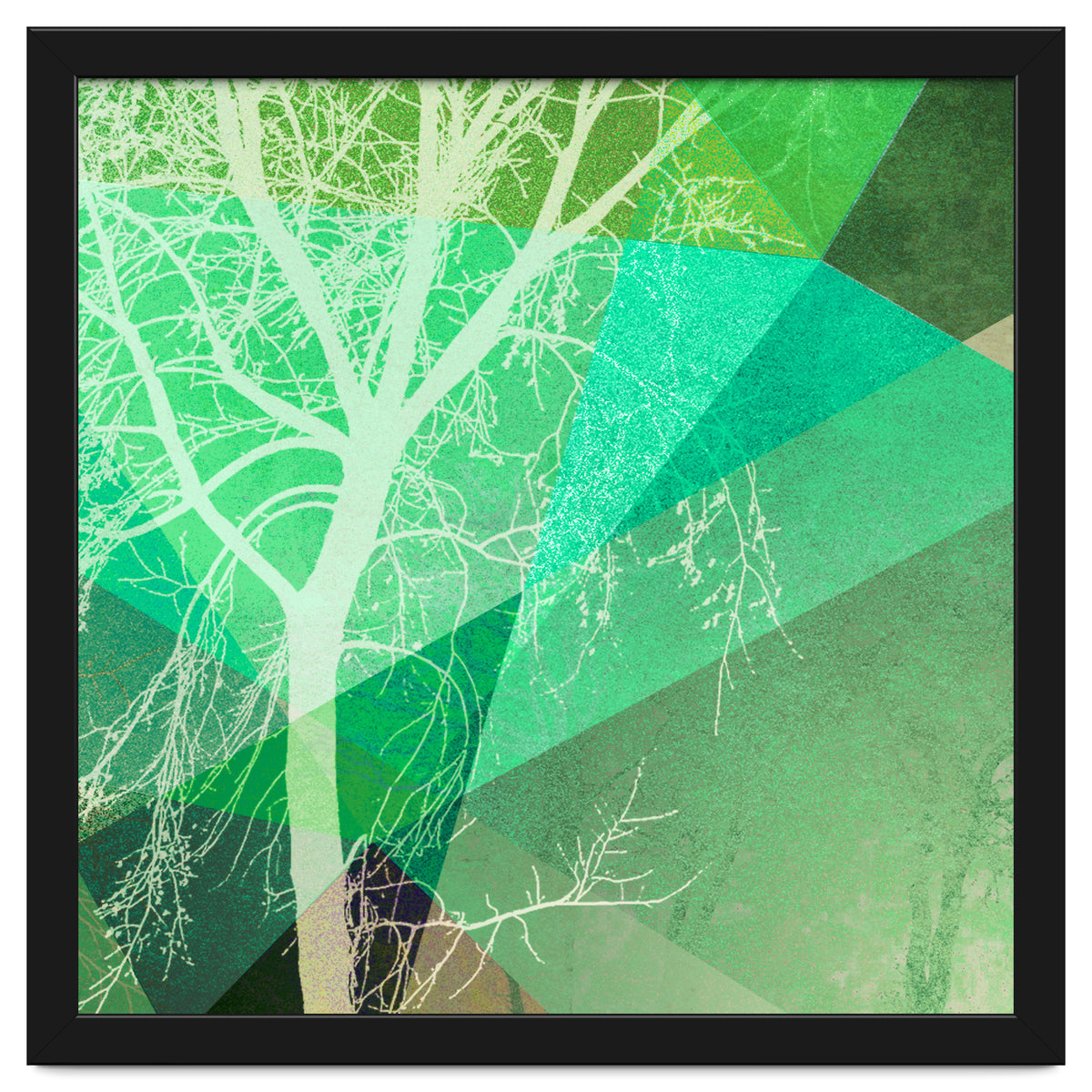 P22-B3 Trees And Triangles