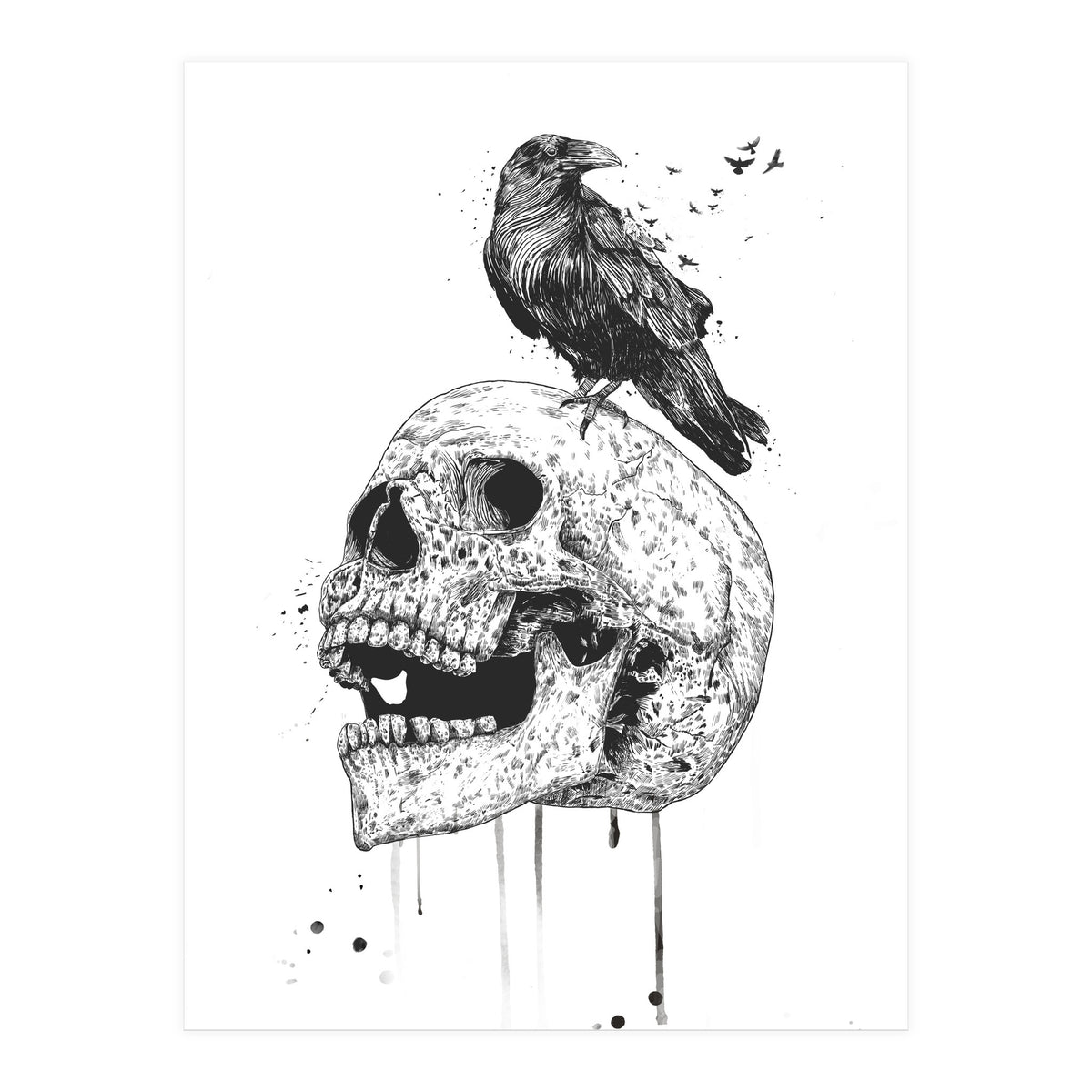 New Skull (bw) (Print Only)