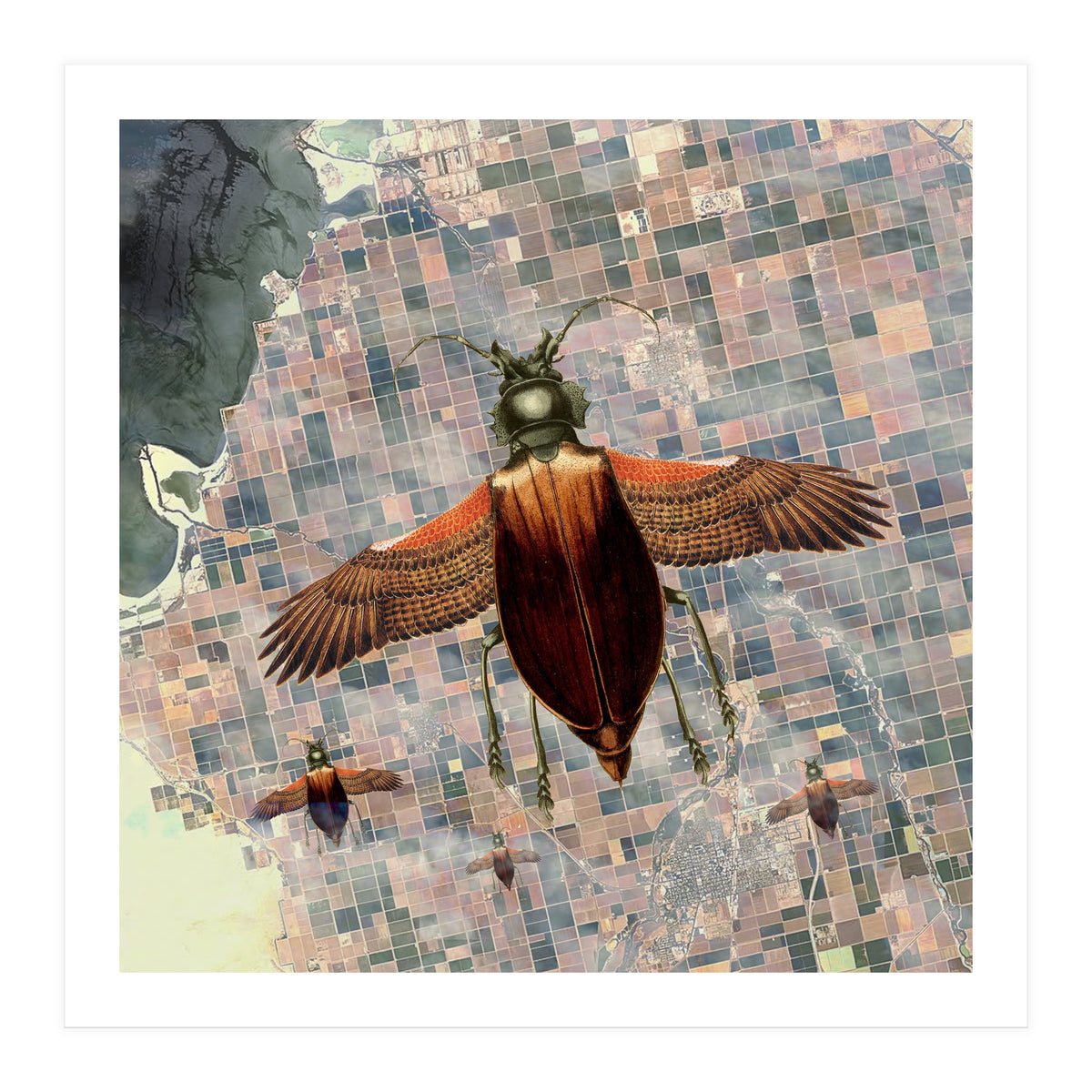 Flying High (Print Only)