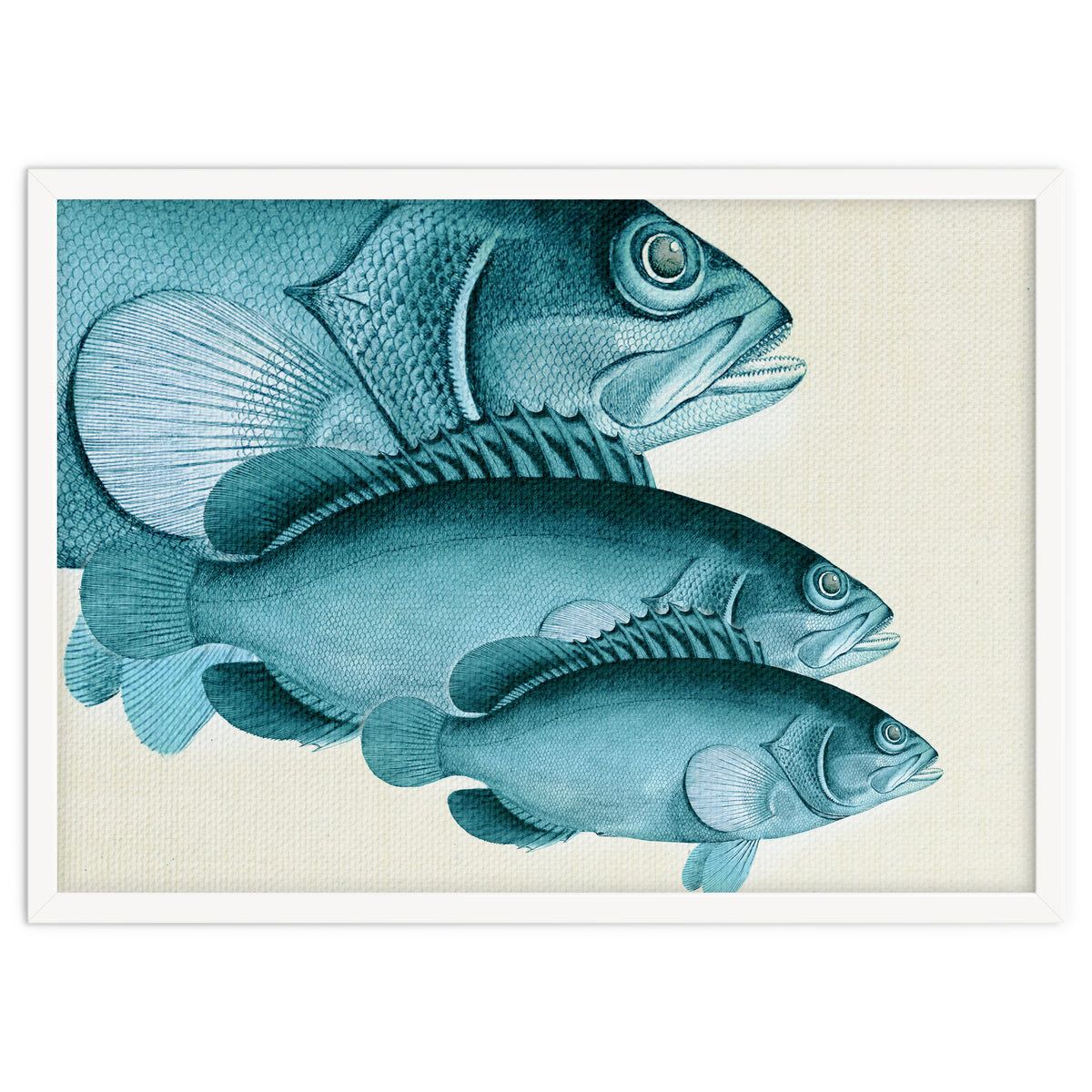 Fish Classic Designs 4