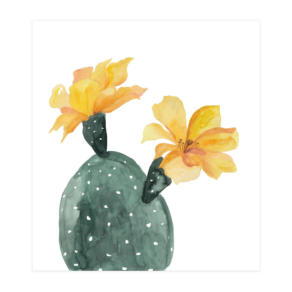 Botanical Illustration Yellow Cactus Flowers (Print Only)