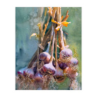 Still Life Garlic (Print Only)