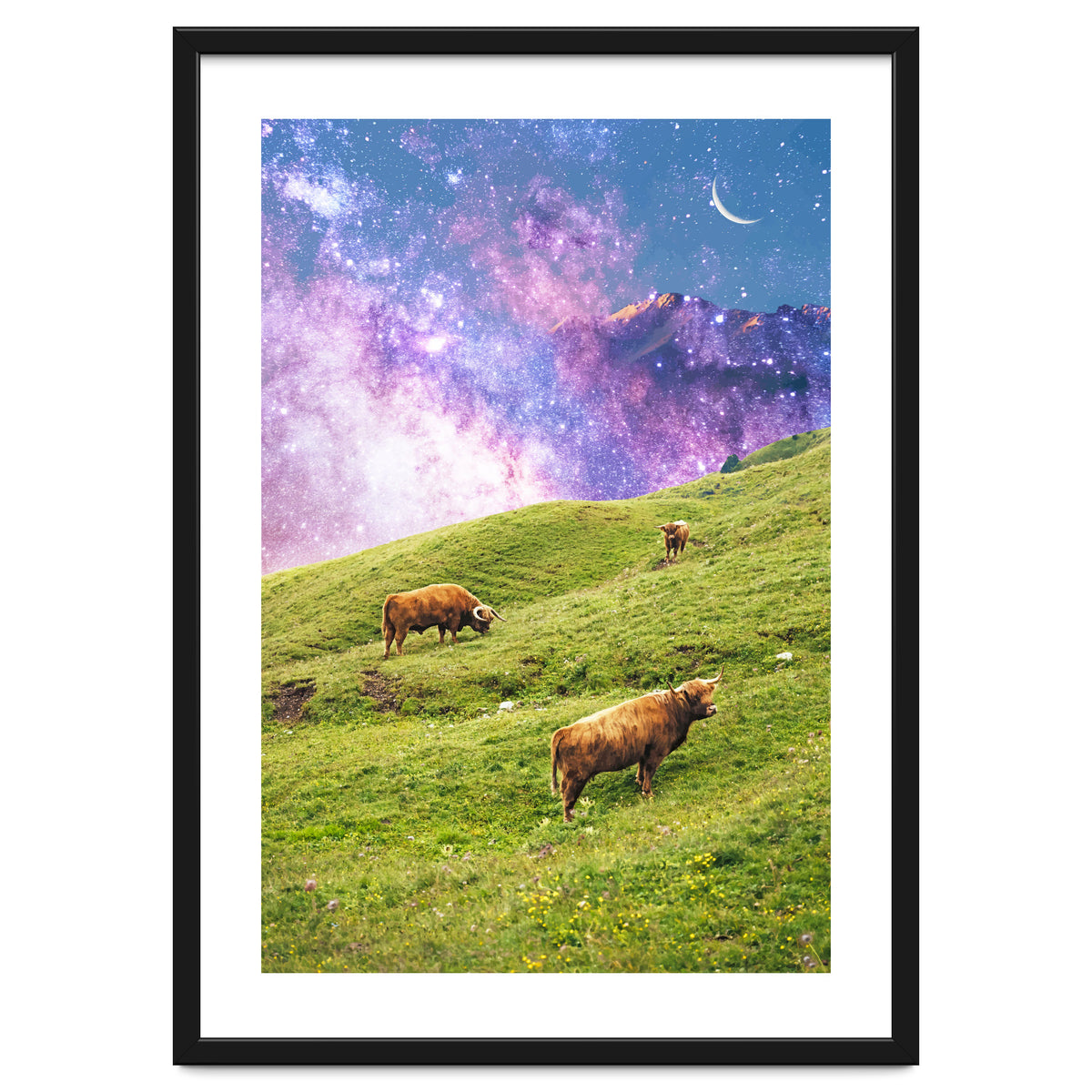 Space Cow Series II