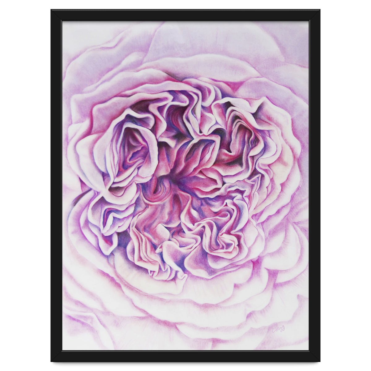 A Rose Is A Rose Std