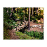 Ewoldsen Loop Bridge (Print Only) thumbnail