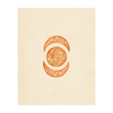 Botanical moon shapes (Print Only) thumbnail