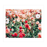 Meadow (Print Only) thumbnail