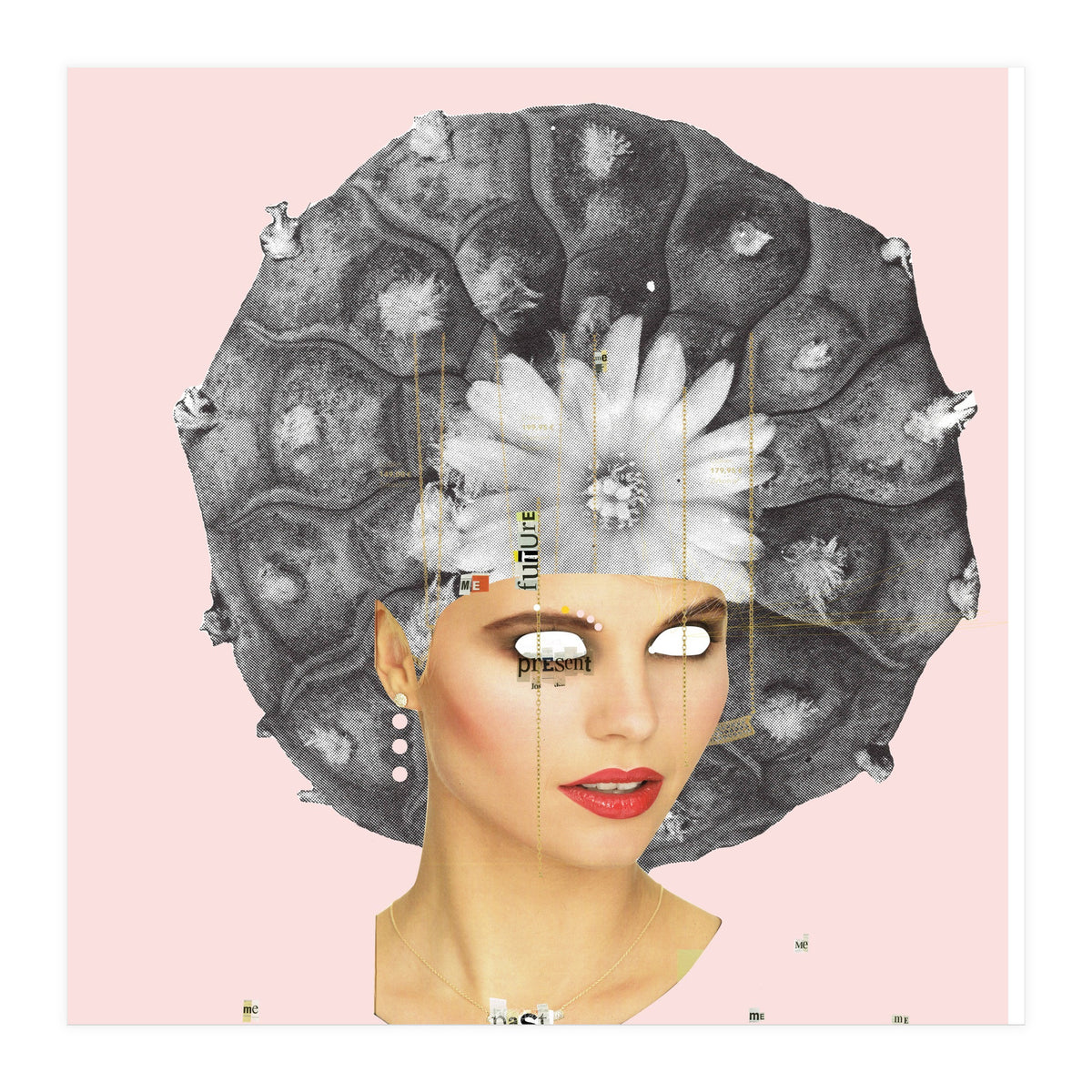 Rosa, Present (Print Only)