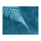 Pteridopsida 1 (Print Only) thumbnail