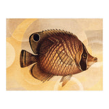 Fish Between Circles 3 (Print Only) thumbnail