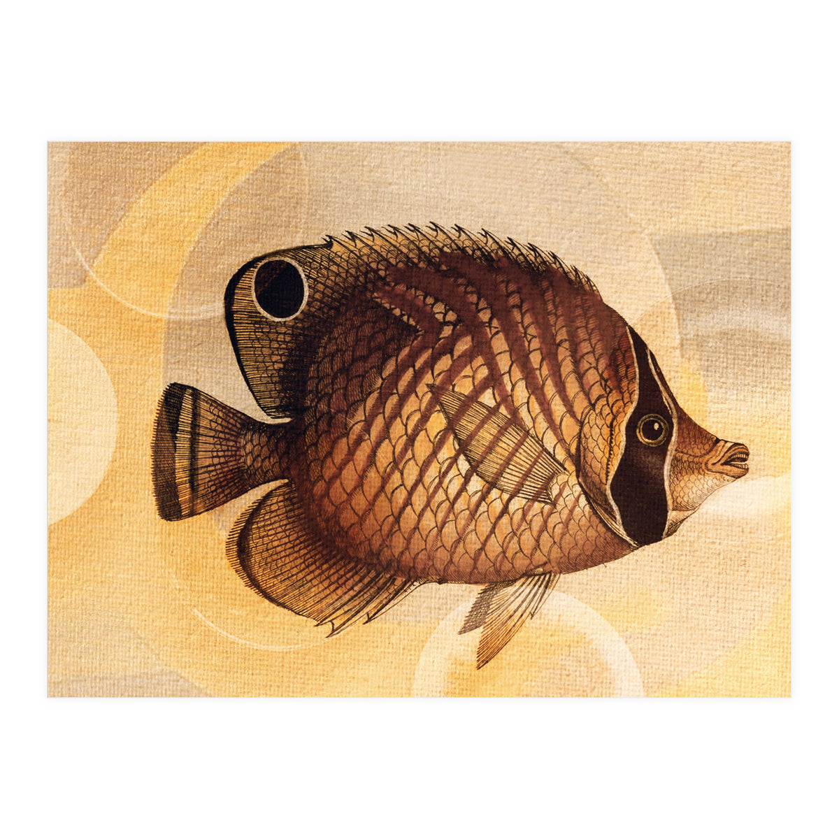 Fish Between Circles 3 (Print Only)