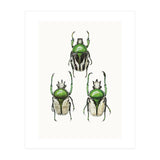Cc Insects 04 (Print Only) thumbnail