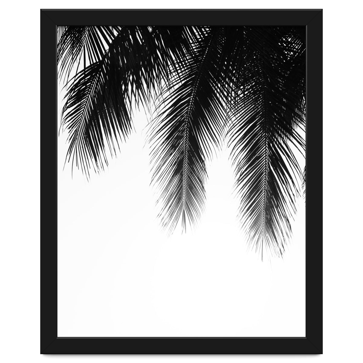 Palm leaves