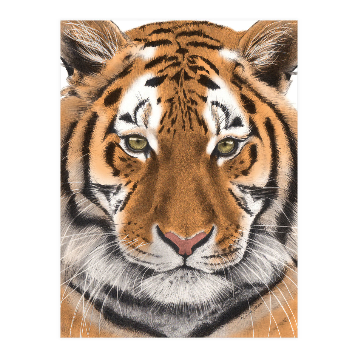Tiger (Print Only)