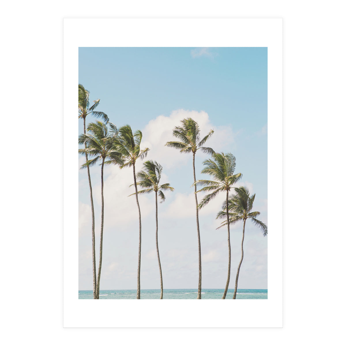 Tropical Palm Trees (Print Only)