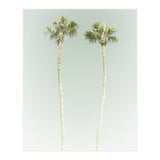 Vintage Palm Trees  (Print Only) thumbnail